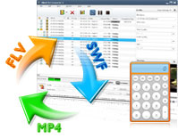 file extension flv to mp4